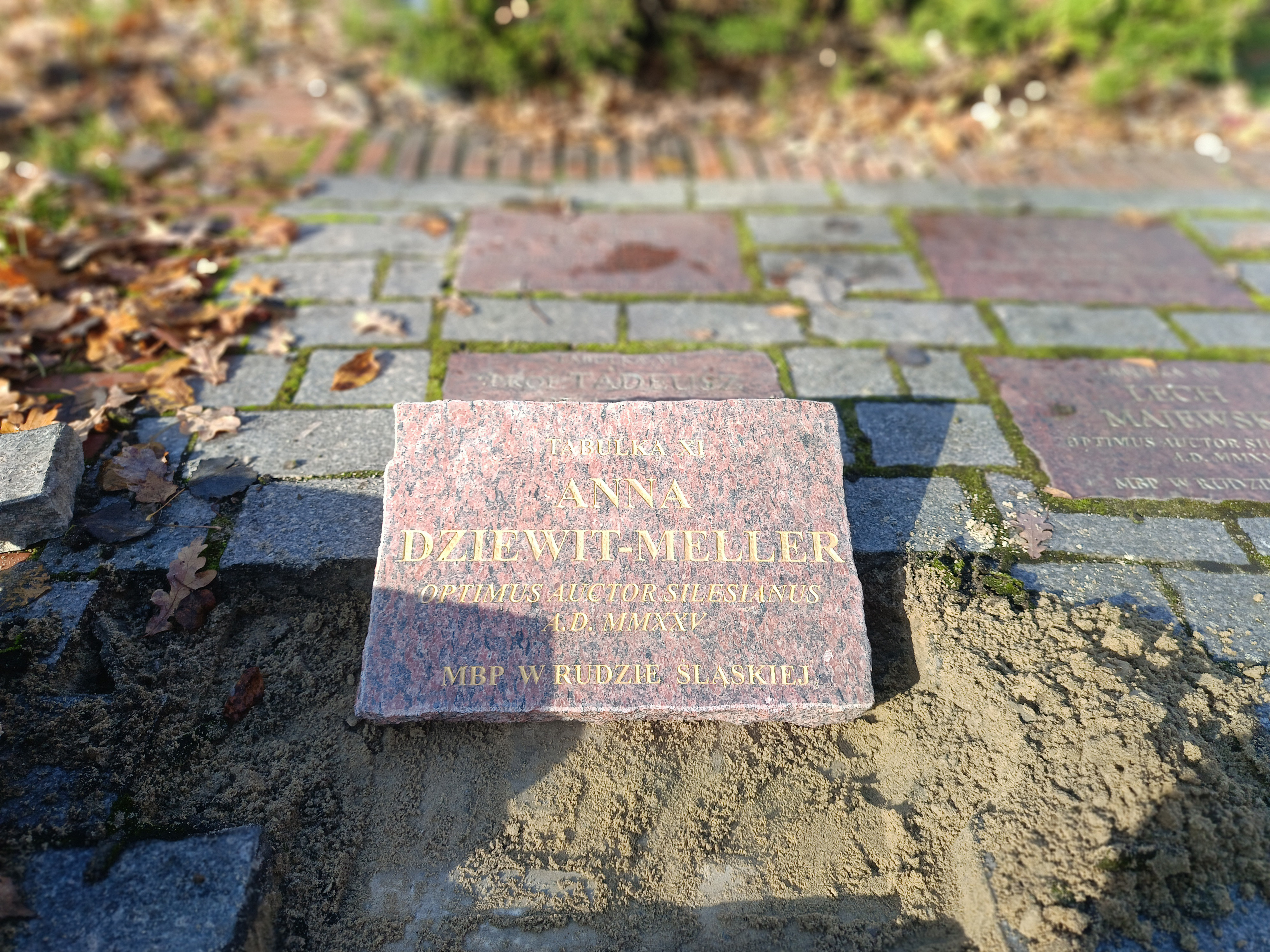 Grafika promująca laudację w 2016 roku